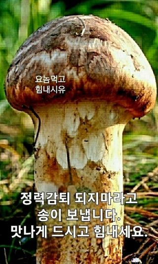 벼10129박병기님의 매일매일 농사공부·자유게시판 작성글 사진