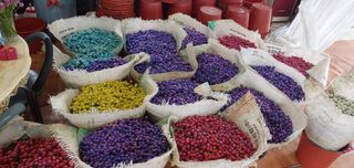 진근수님의 12월 내 작물 자랑하기 · 참여글 작성글 사진