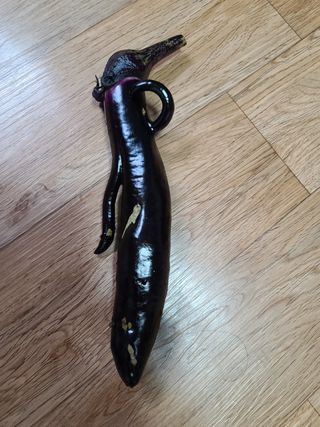 호박16474님의 12월 내 작물 자랑하기 · 참여글 작성글 사진