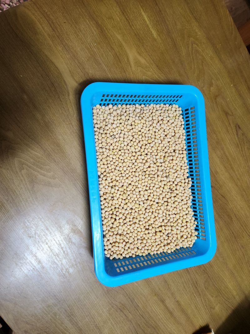 이대주님의 장터 판매 상품 [대원콩 1kg] 첨부 사진