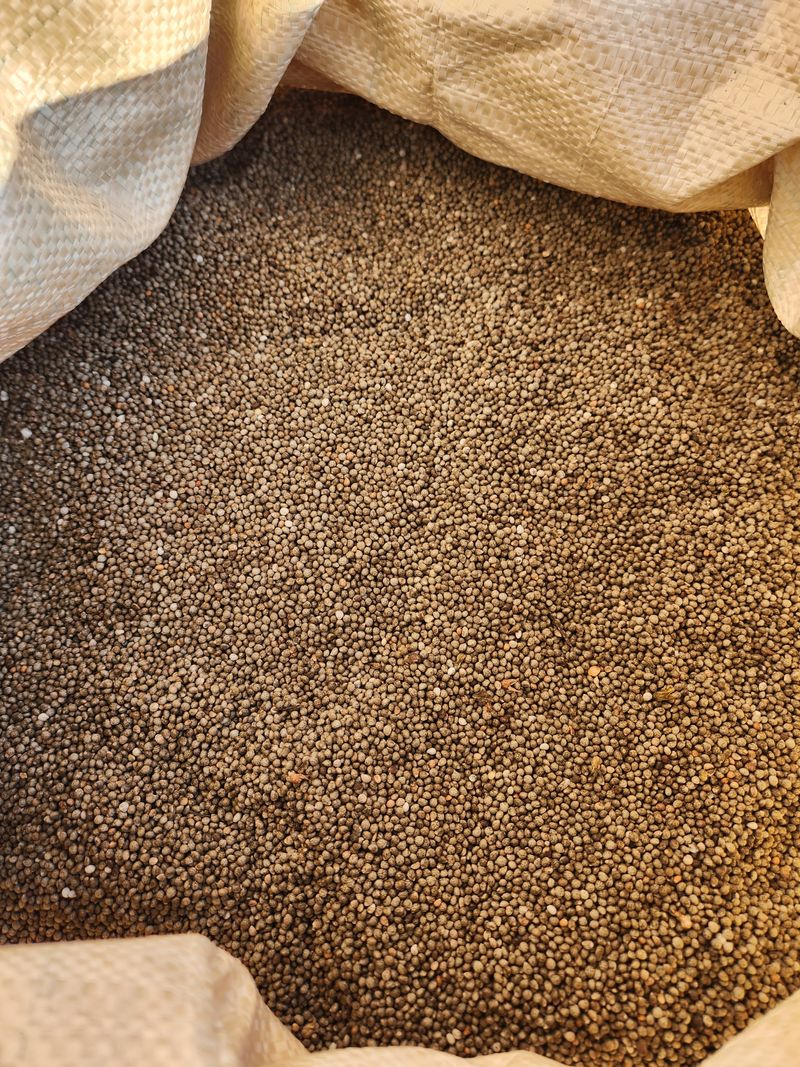 장터 상품 [들깨5kg] 썸네일