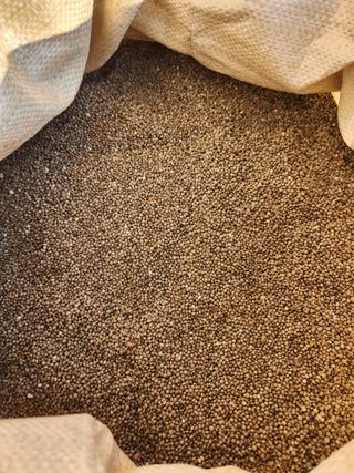 김미숙님의 작성글 사진