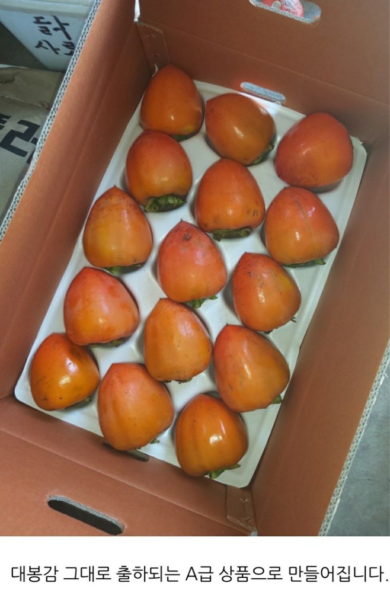 모야아빠님의 장터 판매 상품 [감말랭이(대봉감) 하동군 악양면 ] 첨부 사진