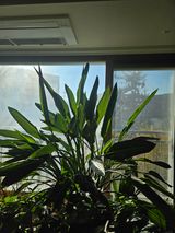 팜모닝 12월 내 작물 자랑하기·참여글 게시글 이미지