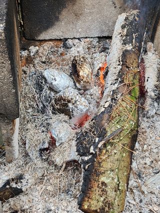 김형철님의 12월 내 작물 자랑하기 · 참여글 작성글 사진