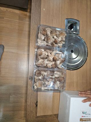 시금치6781님의 12월 내 작물 자랑하기 · 참여글 작성글 사진