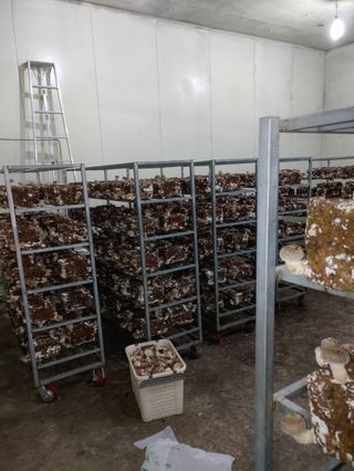 시금치6781님의 12월 내 작물 자랑하기 · 참여글 작성글 사진