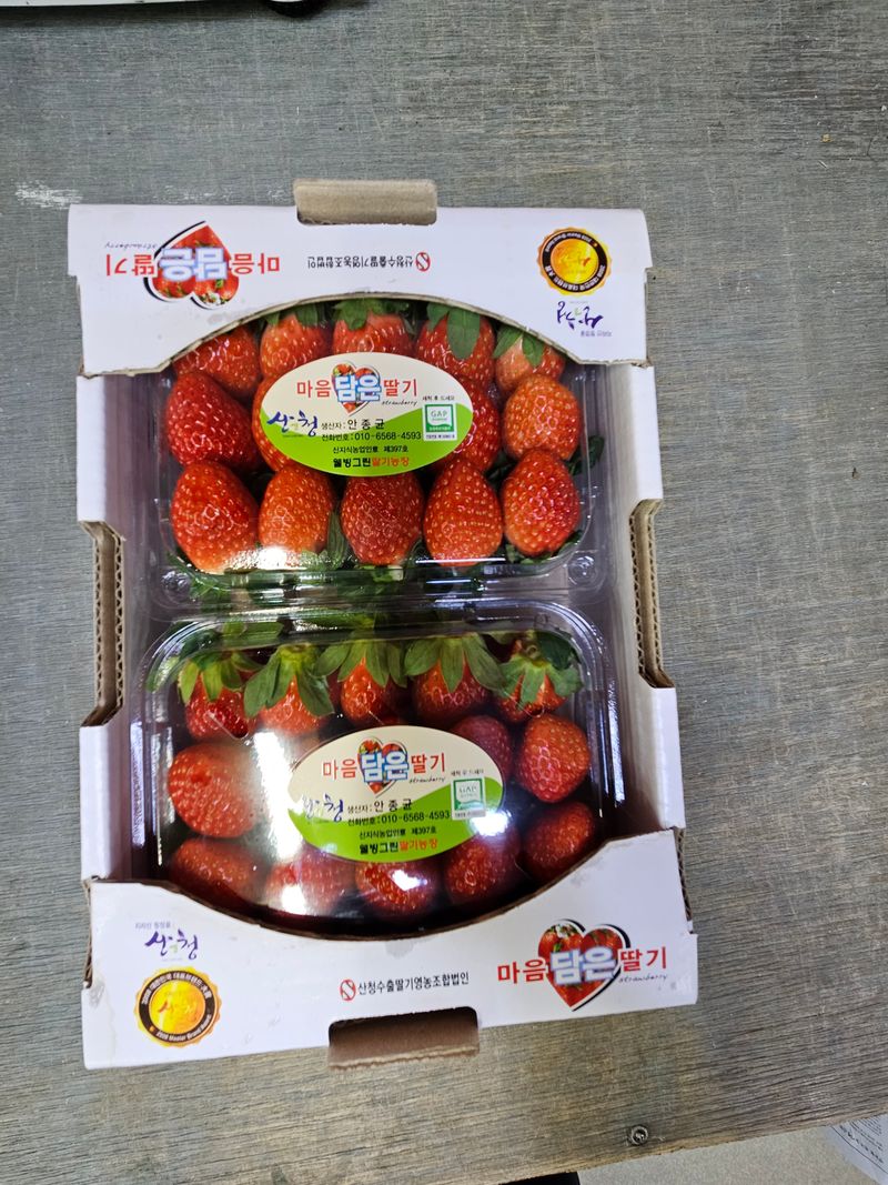안성화님의 장터 판매 상품 [설향 딸기 1kg 상] 첨부 사진