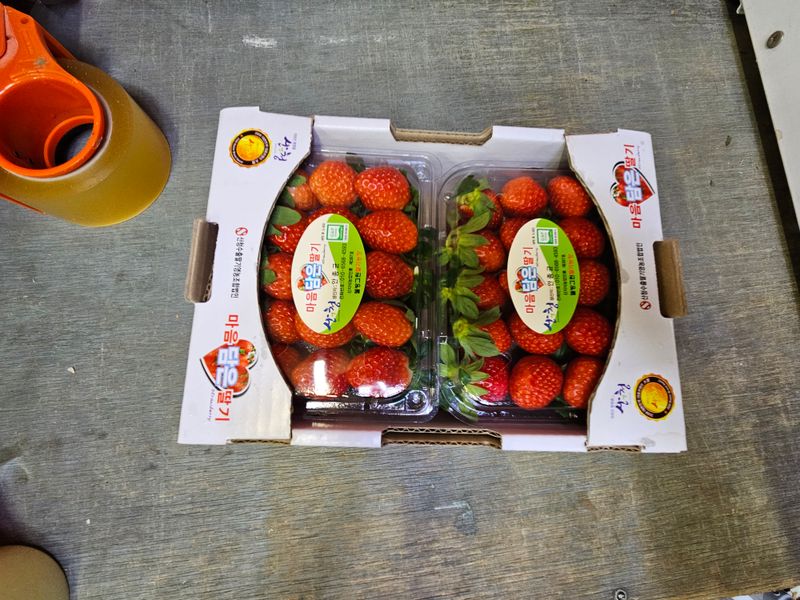 안성화님의 장터 판매 상품 [설향 딸기 1kg 상] 첨부 사진