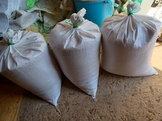 이연화님의 벼 · 자유게시판 작성글 사진