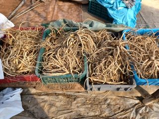 이연화님의 자유주제 · 사진전 작성글 사진