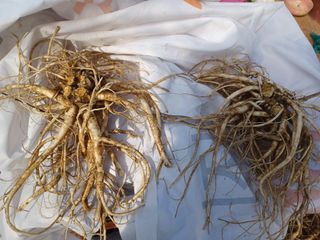 이연화님의 자유주제 · 사진전 작성글 사진