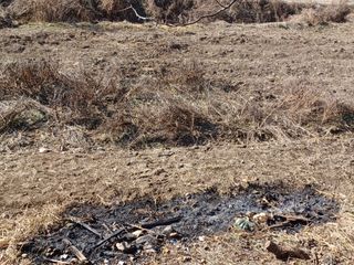이연화님의 자유주제 · 사진전 작성글 사진