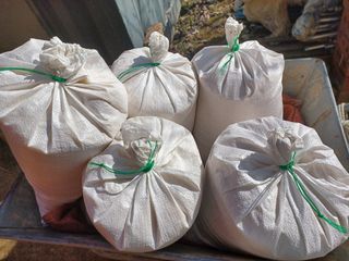 이연화님의 벼 · 자유게시판 작성글 사진