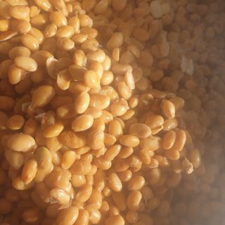 김혜순님의 자유주제 · 자유게시판 작성글 사진