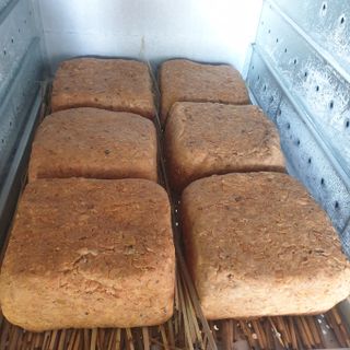 김혜순님의 자유주제 · 자유게시판 작성글 사진