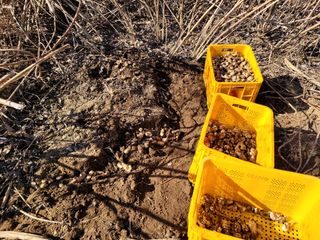 독고다이님의 12월 내 작물 자랑하기 · 참여글 작성글 사진