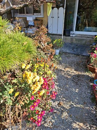 농촌사랑님의 자유주제 · 자유게시판 작성글 사진