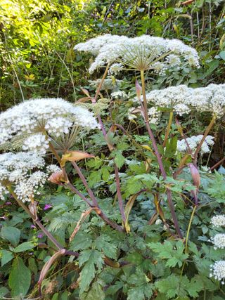 ♡5도2촌pys♡님의 자유주제 · 자유게시판 작성글 사진
