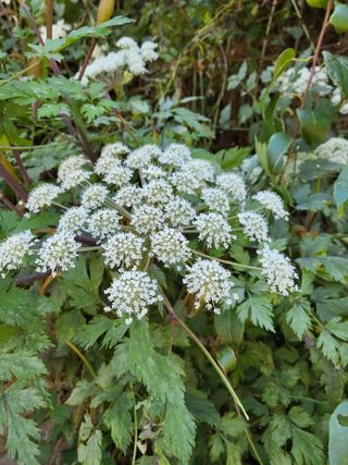 ♡5도2촌pys♡님의 자유주제 · 자유게시판 작성글 사진