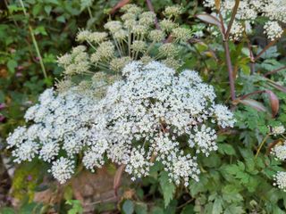 ♡5도2촌pys♡님의 자유주제 · 자유게시판 작성글 사진