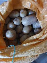 팜모닝 감자·자유게시판 게시글 이미지