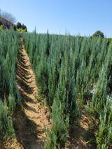 팜모닝 12월 내 작물 자랑하기·참여글 게시글 이미지