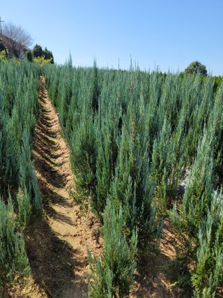 상근농원김덕주님의 12월 내 작물 자랑하기 · 참여글 작성글 사진