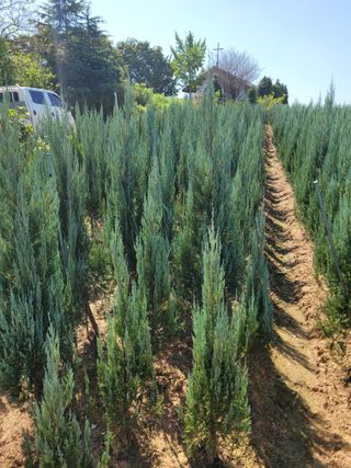 상근농원김덕주님의 12월 내 작물 자랑하기 · 참여글 작성글 사진