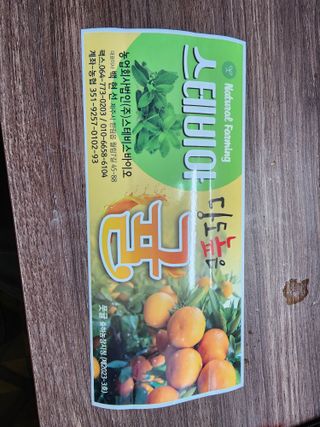 팜모닝회원백현선님의 작성글 사진