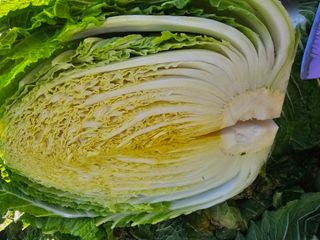 백용기님의 자유주제 · 자유게시판 작성글 사진