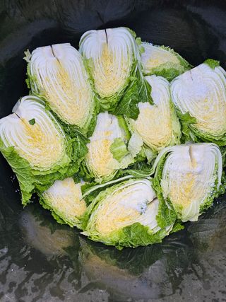 백용기님의 자유주제 · 자유게시판 작성글 사진