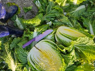 백용기님의 자유주제 · 자유게시판 작성글 사진