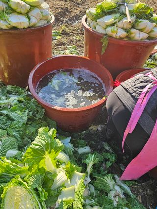 백용기님의 자유주제 · 자유게시판 작성글 사진