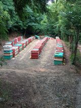 팜모닝 12월 내 작물 자랑하기·참여글 게시글 이미지