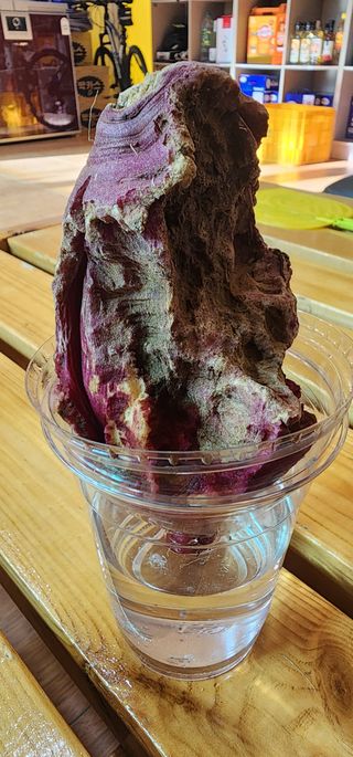 참깨16864님의 12월 내 작물 자랑하기 · 참여글 작성글 사진