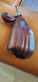 참깨16864님의 12월 내 작물 자랑하기·참여글 작성글 사진