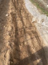 팜모닝 파·자유게시판 게시글 이미지