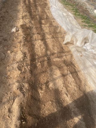 미래의 의사는 농부님의 파 · 자유게시판 작성글 사진