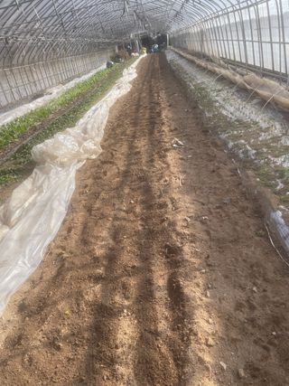 미래의 의사는 농부님의 파 · 자유게시판 작성글 사진