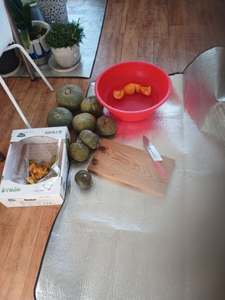 알 수 없음님의 자유주제 · 자유게시판 작성글 사진