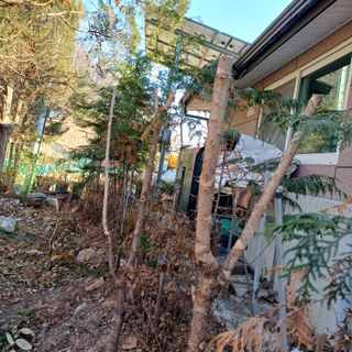 삼성농산님의 자유주제 · 자유게시판 작성글 사진