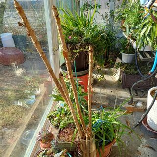 삼성농산님의 자유주제 · 자유게시판 작성글 사진