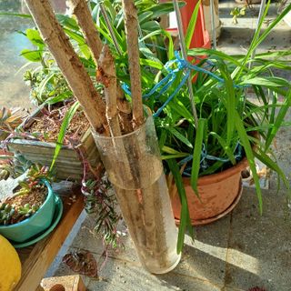 삼성농산님의 자유주제 · 자유게시판 작성글 사진