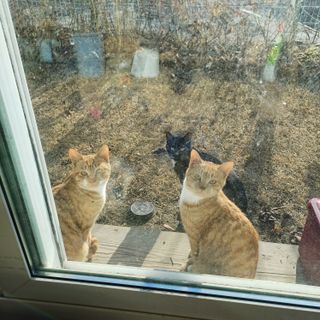 삼성농산님의 자유주제 · 자유게시판 작성글 사진