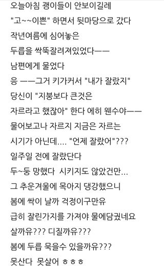 삼성농산님의 자유주제 · 자유게시판 작성글 사진