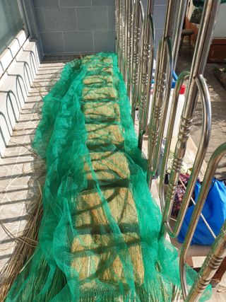 도시부부농부님의 콩 · 자유게시판 작성글 사진