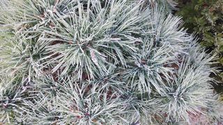 달맛햇복숭아농원님의 자유주제 · 사진전 작성글 사진