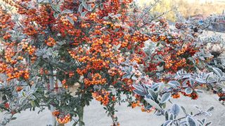 달맛햇복숭아농원님의 자유주제 · 사진전 작성글 사진