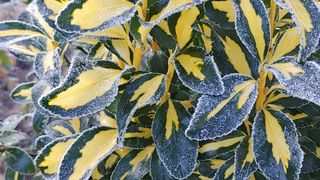 달맛햇복숭아농원님의 자유주제 · 사진전 작성글 사진